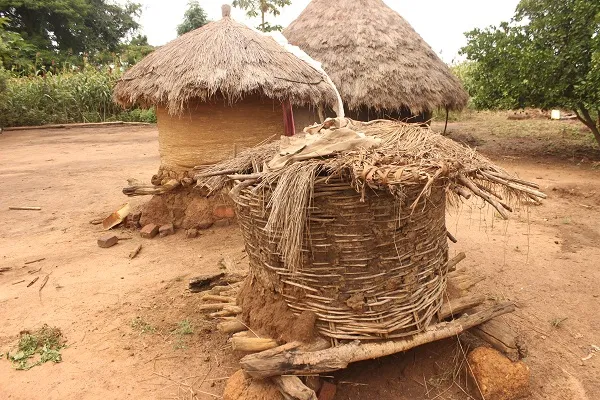 Secrets Behind Thingira (Kikuyu Granaries) - How Kikuyu Community Used To Store Their Haverst (Photos)