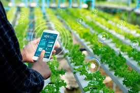 Smart Farming in Your Pocket: How Phones Are Transforming Agriculture