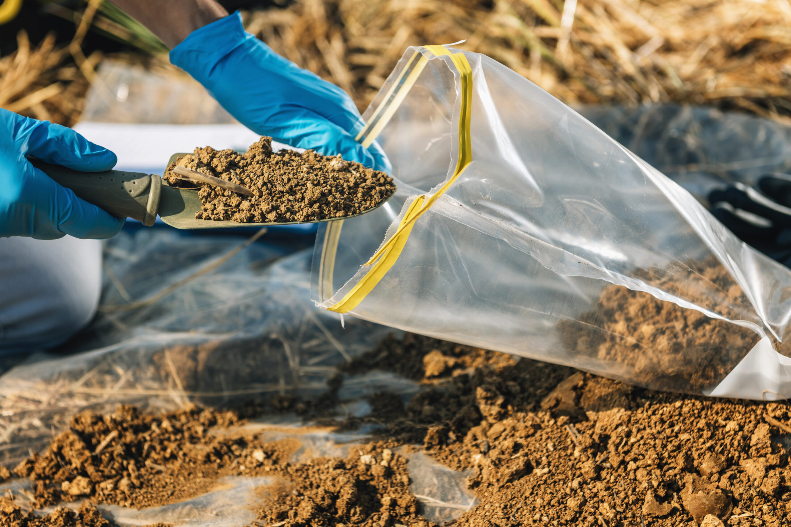 Title: Dirt’s Dirty Secret: How a Simple Soil Test Tells You Everything Your Garden Needs (Photos)