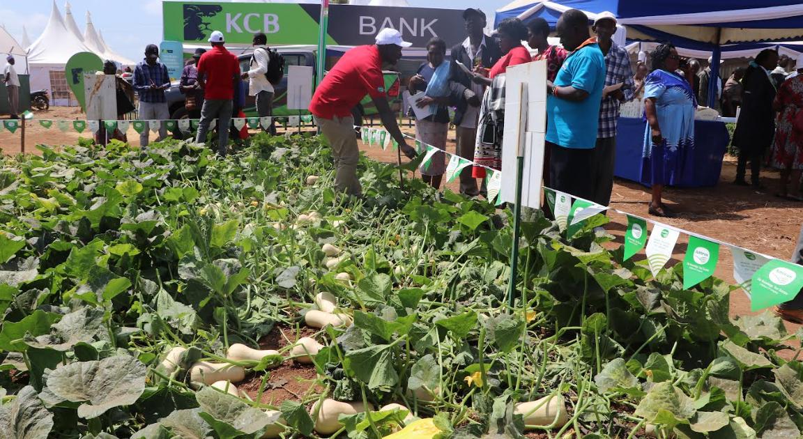 Nanyuki County Set for Bigger and Better ASK Show as Exhibitor Numbers Rise (So Far 100 Exhibitors)