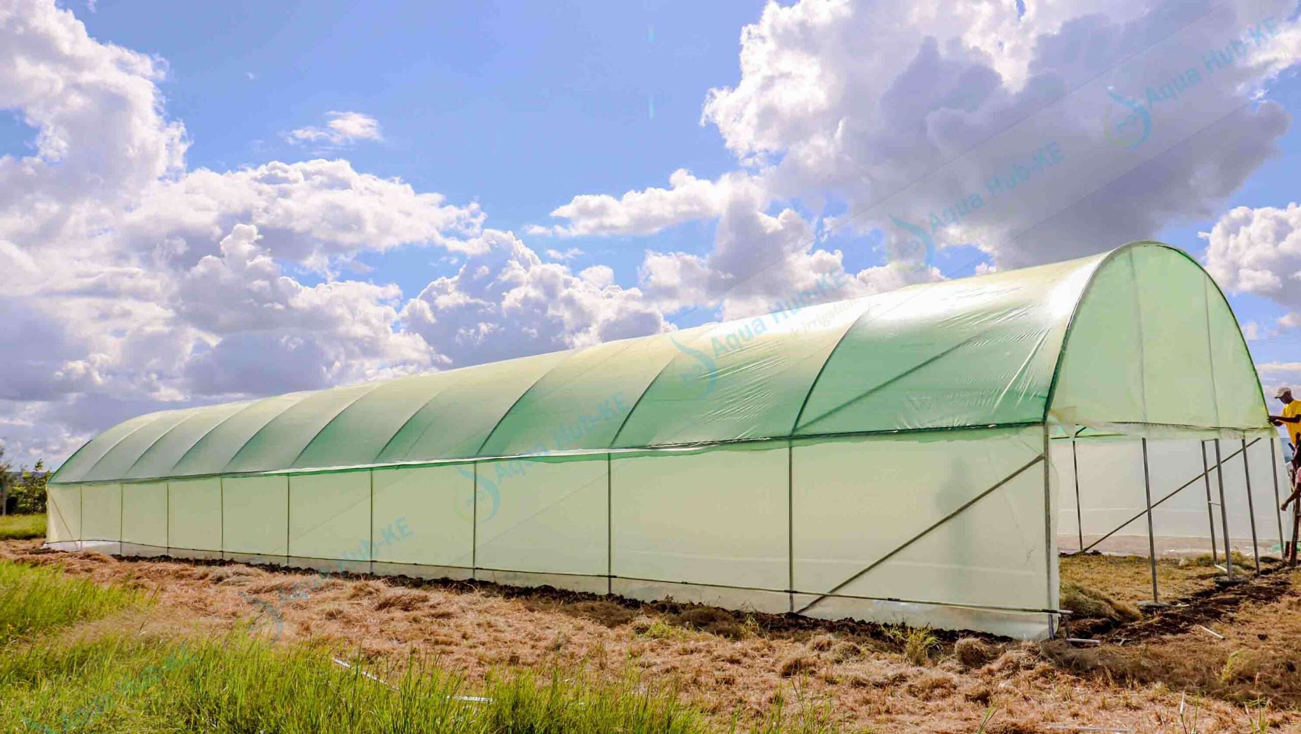How Greenhouses Are Transforming Irrigation Farming (Photos)