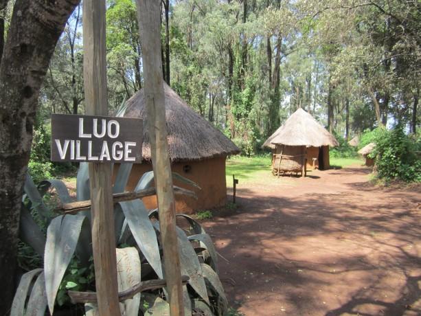 For A Boy Goat Was Slaughtered;  How the Luo Community Celebrated the Birth of a Child(Details)