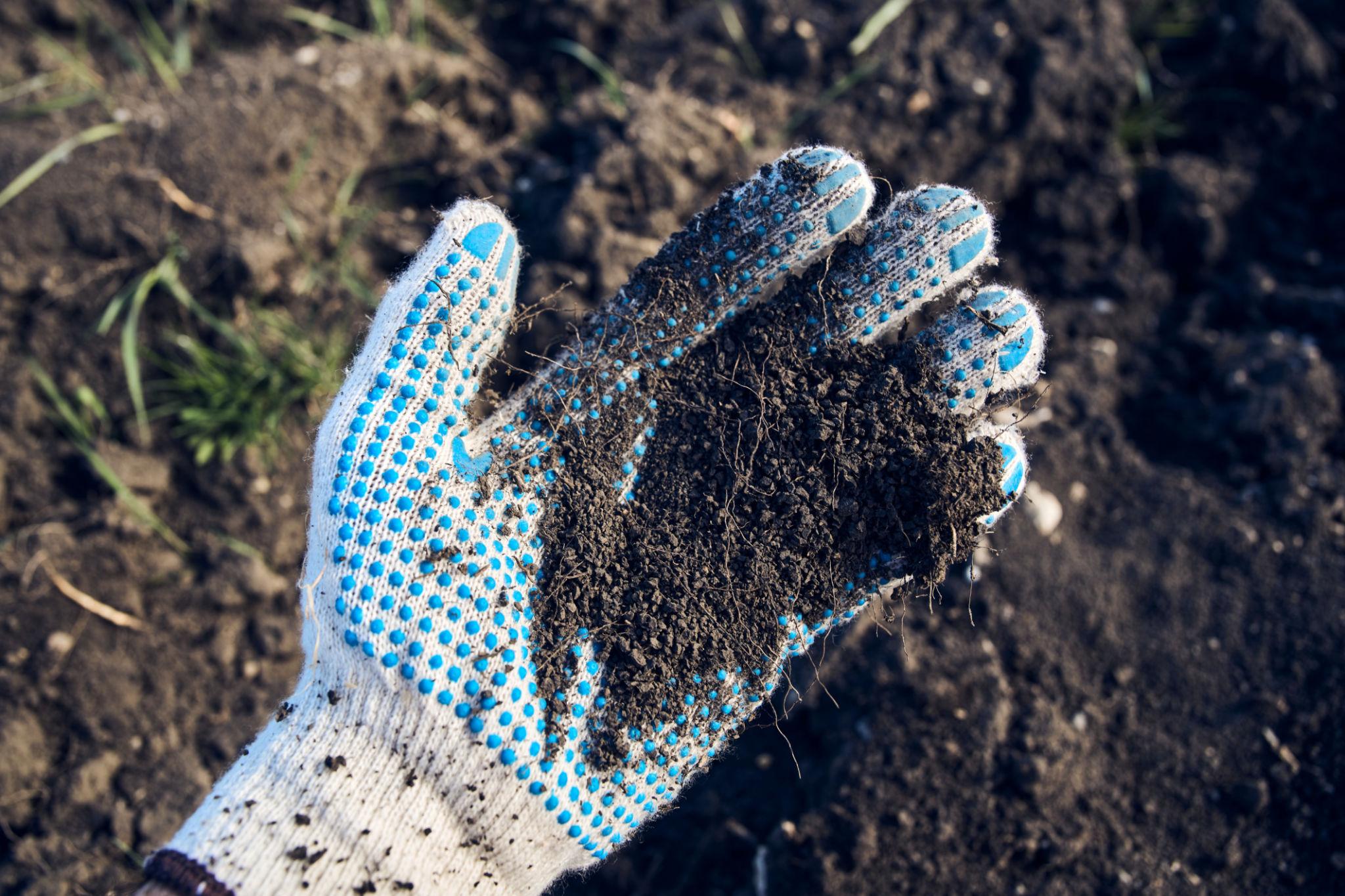Dig Before You Plant: Why Smart Farmers Always Test Their Soil
