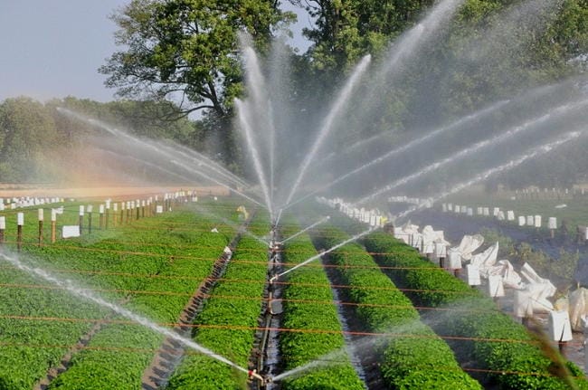 How Smart Irrigation Systems Is Saving Water and Increasing Yields (Details)