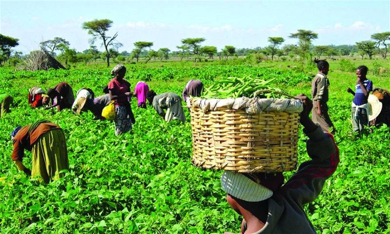 How Farmers Can Access Government Agricultural Funds (Explained)