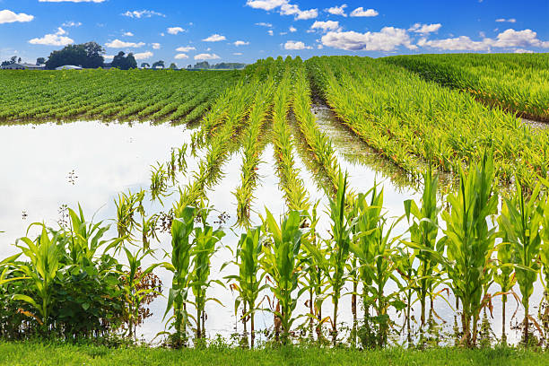 Weatherman Predicts Stable Agricultural Season Despite Variable July–September Forecast (Photos)