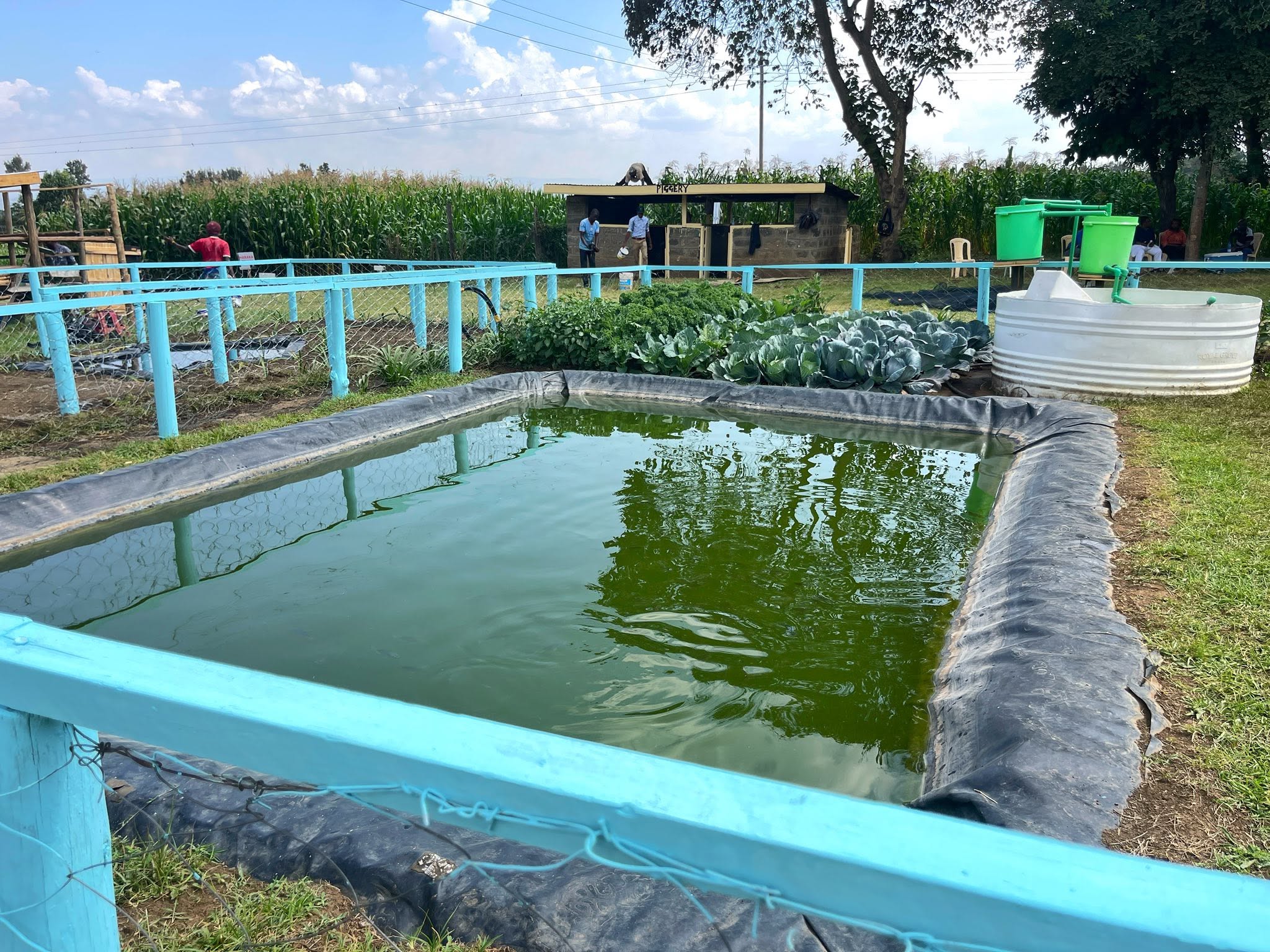 FishPod Success: What Every Farmer Needs to Get Started In Fish Farming (Details)